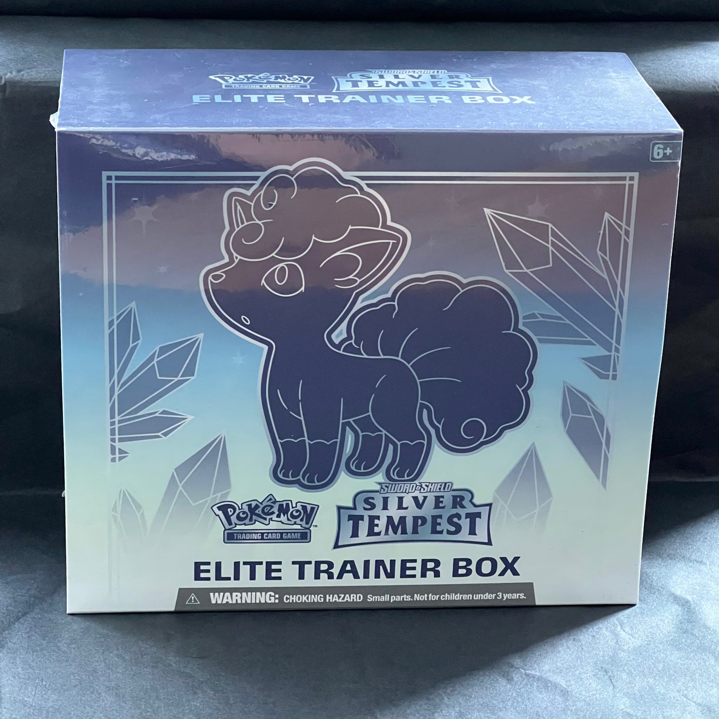 Pokémon TCG: Elite Trainer Box: Silver Tempest